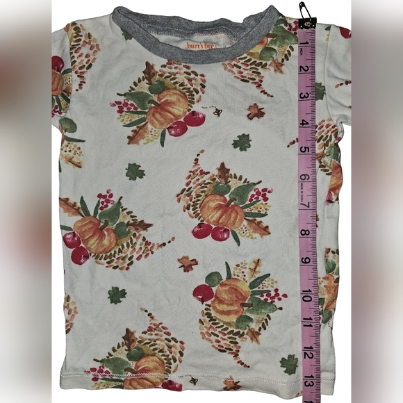 Burt's Bees Kids Boy Girl Thanksgiving Celebration Organic 2pc PJ Set Sz 3T - Picture 8 of 16